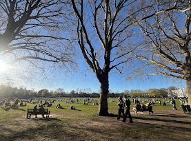 POLICE ISSUE DISPERSAL ORDER FOR RICHMOND GREEN