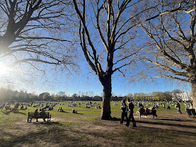 POLICE ISSUE DISPERSAL ORDER FOR RICHMOND GREEN