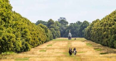BUSHY PARK CALENDAR 2027 NOW ON SALE