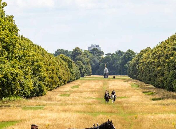 BUSHY PARK CALENDAR 2027 NOW ON SALE
