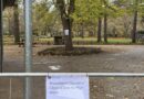 BAD WEATHER CLOSES WOODLAND GARDENS