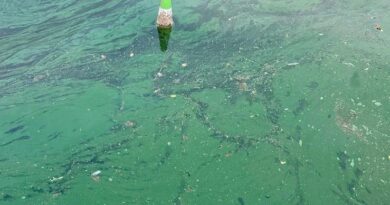 LOCAL BATHING SPOT STILL TOO POLLUTED FOR SWIMMING