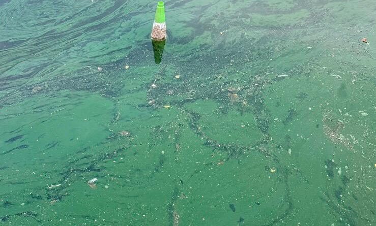 LOCAL BATHING SPOT STILL TOO POLLUTED FOR SWIMMING