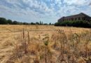 LOCAL MP CONFRONTS PRIME MINISTER ON FUTURE OF UDNEY PARK PLAYING FIELDS